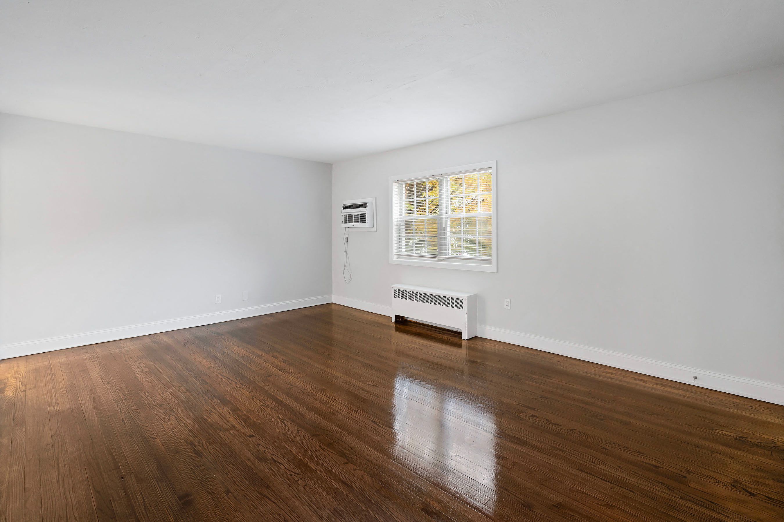 Gallery Photo 16